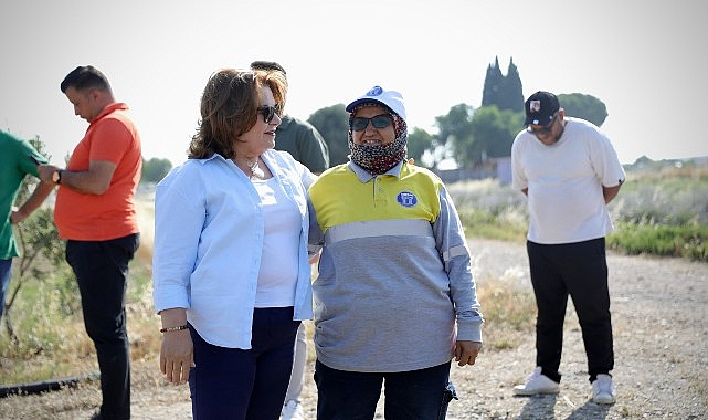 Başkan Gençay, kekik hasadına katıldı