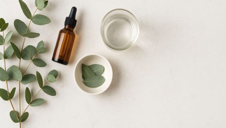 Okaliptüsün Faydaları Nelerdir?