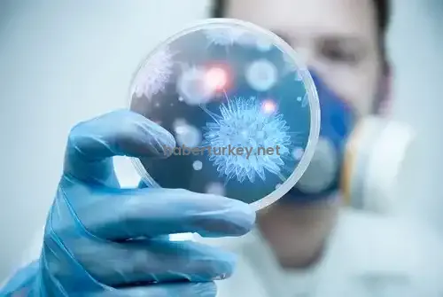 Sibirya’da Veba Vakası ve Karantina Kararı